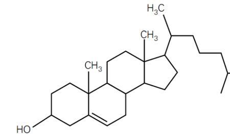 纸的化学分子式