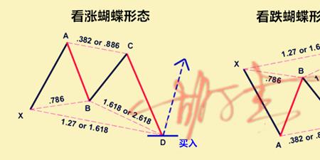 资金形态变化过程