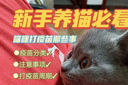 猫咪打疫苗之前可以吃零食吗