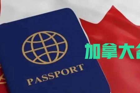 入境加拿大旅游签需不需换大签