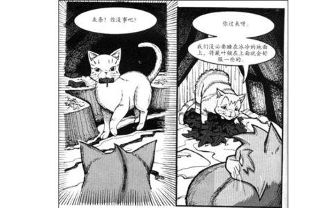 猫武士谁最弱