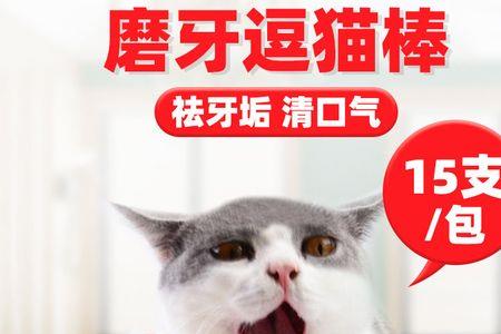 猫咪磨牙棒有必要吗