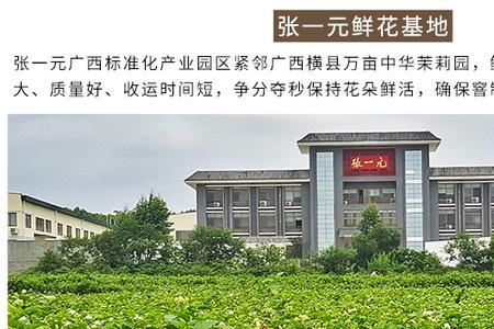 元长厚和张一元哪个茶叶有名