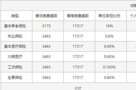 社保个人调整什么意思