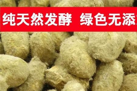 夏天霉豆子要发酵最佳温度