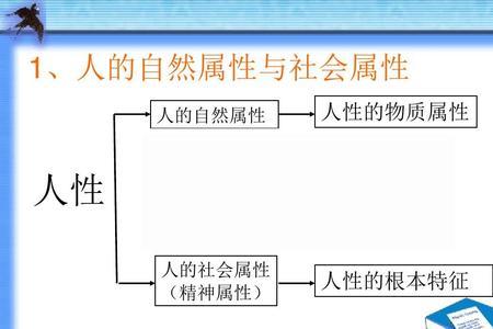 社会的本质属性是什么