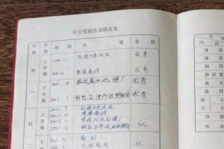 学生发展手册大学怎么填