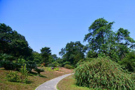 广州天河植物园可以进去吗