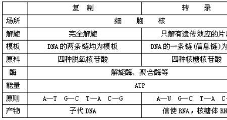 转录本和基因的区别