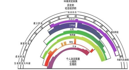 生涯理论包括哪些