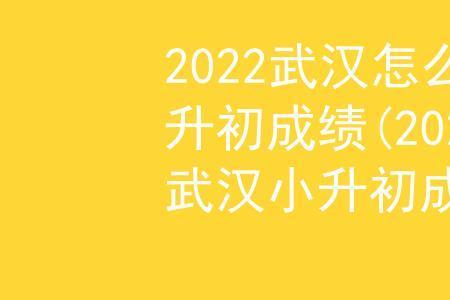 小升初成绩网上能查到吗怎样查