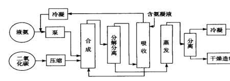 尿素法检流程