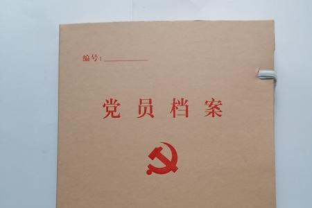 公司要看党员档案要开什么