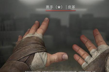 csgo九头蛇和裹手哪个好看