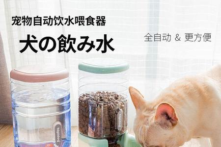 猫咪舔水壶好用吗