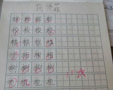 木字旁的甘可以组什么词