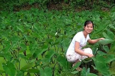 娶广西女人的利弊