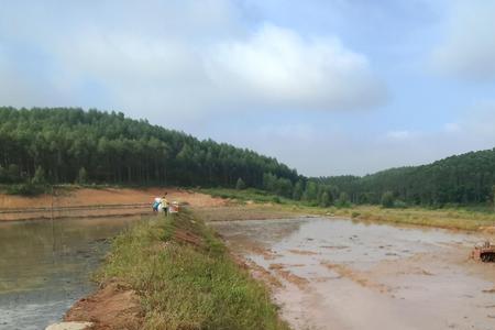 一般水田可以变更农村建设用地