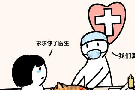 119是只救人不救猫吗