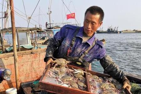 昌黎海鲜市场营业时间