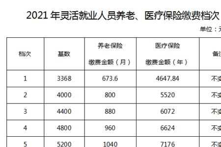 养老保险参保缴费什么意思