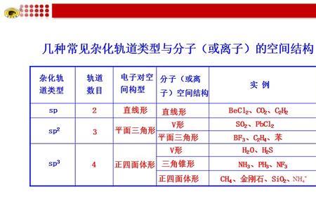 杂化轨道和分子轨道有什么不同