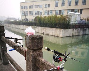 下过雨之后桥底下的鱼好钓吗