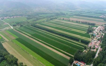 什么是农村扶贫基地