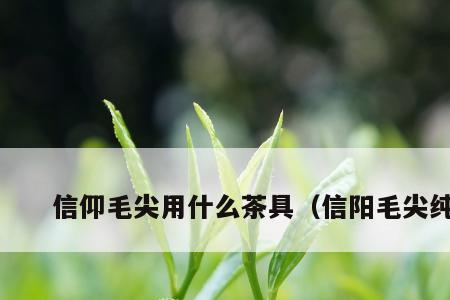 信阳毛尖冲泡方法最忌讳