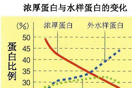 再生蛋类什么意思