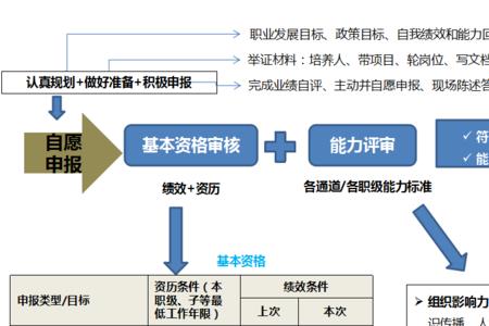 阿里m1级是什么职位