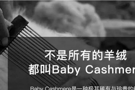 babycashmere什么品牌