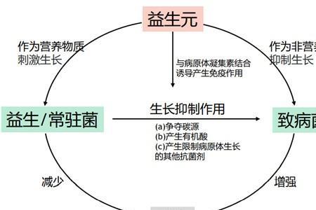 常见微生态菌群是什么意思