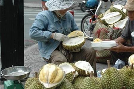 东莞最大榴莲批发市场是哪个