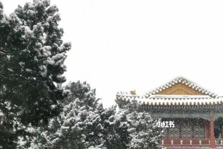 飞雪伴春还春庭晓自闲什么意思