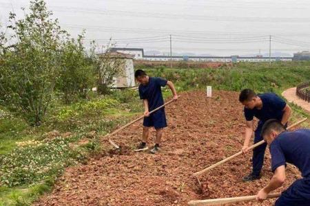 国家鼓励开垦荒地的政策文件