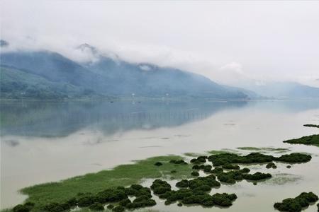 沼泽和滩涂的区别