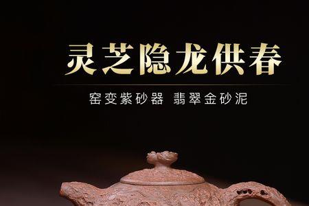 翡翠金沙柴烧壶可以泡普洱茶