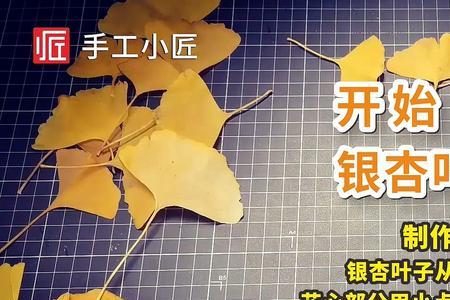 银杏叶做玫瑰花用什么胶水