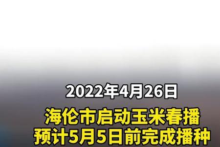 海伦国投今日玉米价格