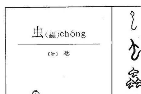 虫字旁加个戋是什么字