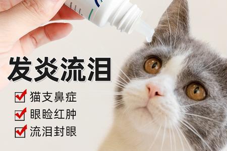 猫咪流眼泪用什么药