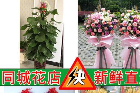 公司乔迁花篮飘带怎么写