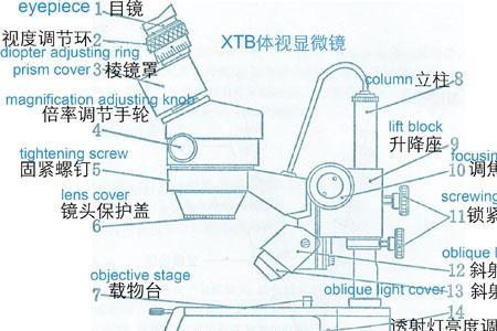 江南xtb-1显微镜的使用方法