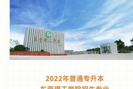 东莞理工学院203专业是什么