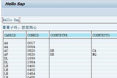 sap编码什么意思