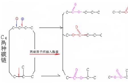 酯基有几个同分异构