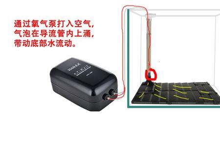 鱼缸底砂直接铺还是用底滤板