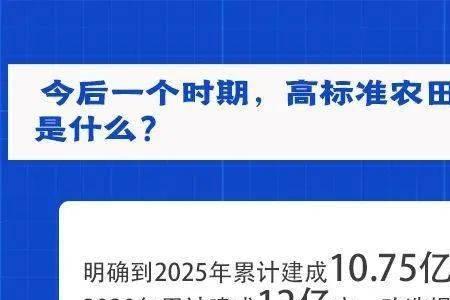 国家建设的决定性力量是什么