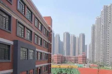 全市同类学校什么意思